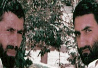 عکس / ما را نگاه می کنند