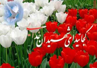 برگزاری یادواره 1300 شهید منطقه 8 تهران در بهشت زهرا