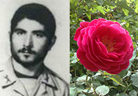 پدر تنها شهید روستای مرزی سنگ‌دیوار درگذشت