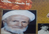 پدر شهید «محمدرضا صمصامی» در قم به فرزند شهیدش پیوست