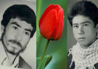 تجدید میثاق با سه شهید روستای آهنگ