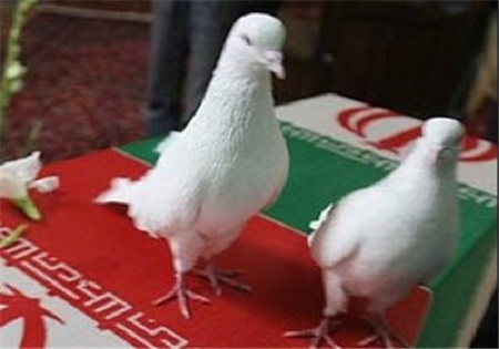 جانباز قاینی آسمانی شد