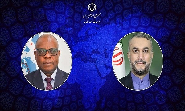 Iran hails D8 support for Palestinian people