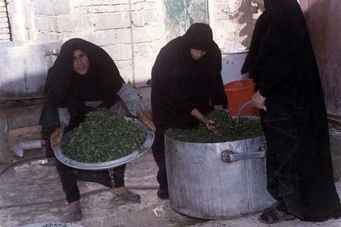 برپایی نمایشگاه کتاب به دور از چشم ساواک/ اولین پایگاه مقاومت را در دزفول بنا کردیم