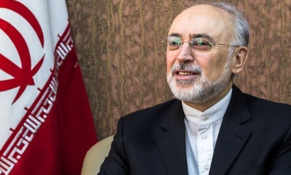 صالحی: توقف جزئی تعهدات ایران با اجرای موثر و کامل برجام قابل برگشت است
